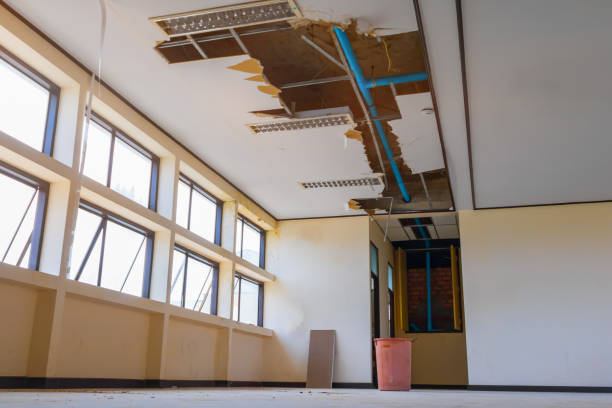 Best Carpet water damage restoration  in Pembroke, NC