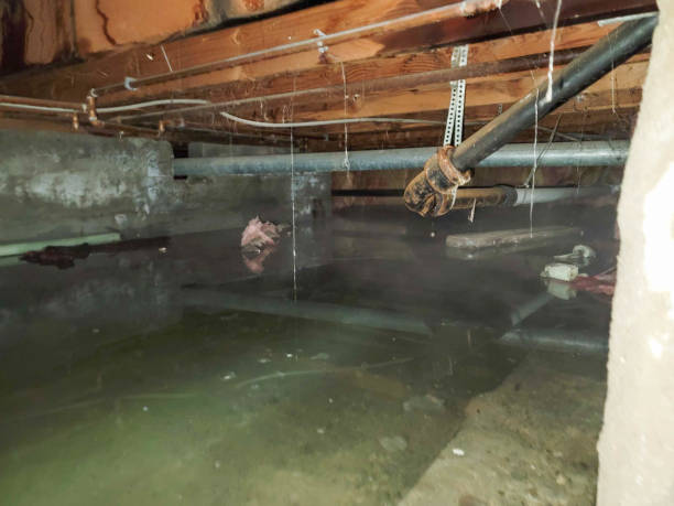 Best 24-hour water damage restoration  in Pembroke, NC