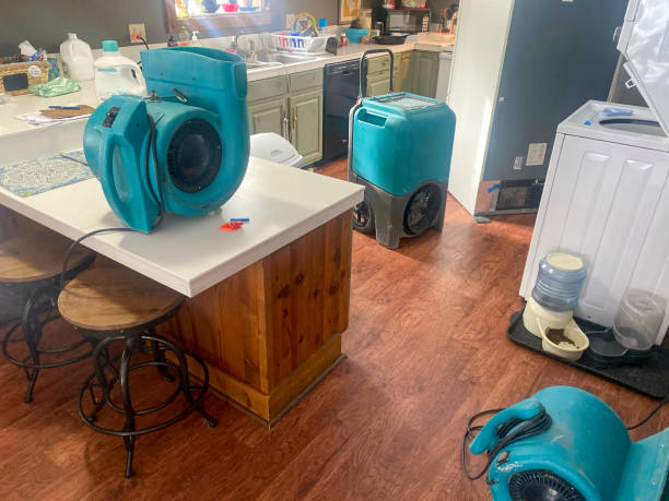 Best Local water damage restoration  in Pembroke, NC