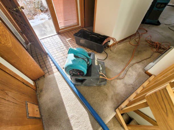 Best Basement water damage restoration  in Pembroke, NC