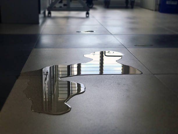 Best Water damage restoration near me  in Pembroke, NC